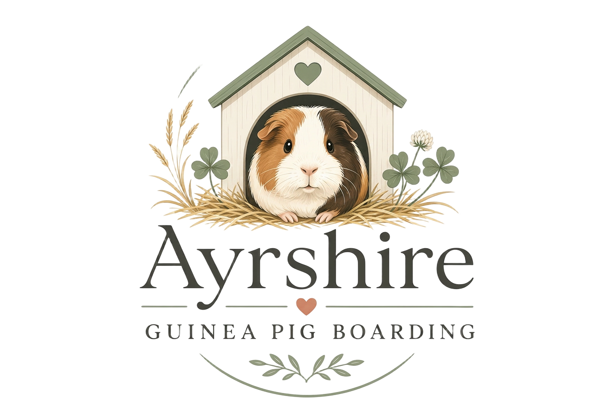 Ayrshire Guinea Pig Boarding